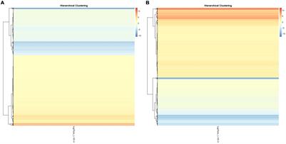 Whole Transcriptome Analysis Reveals a Potential Regulatory Mechanism of LncRNA-FNIP2/miR-24-3p/FNIP2 Axis in Chicken Adipogenesis